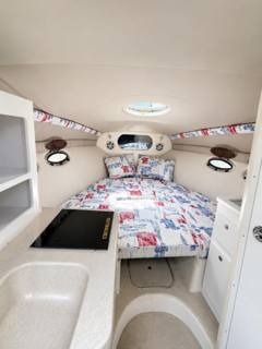 Crownline 268CR photo 5
